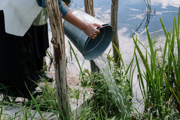 A woman drinks a bed from a bucket of water